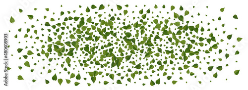 Lime Leaves Ecology Vector Panoramic White