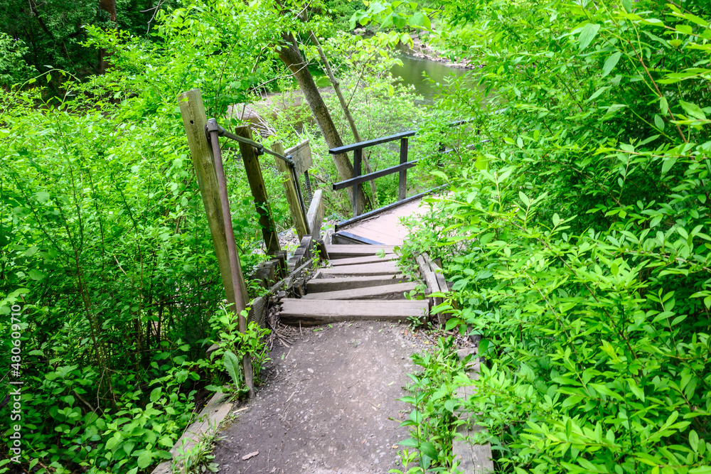 Old Stairway in a Path in the Adirondacks Old Stairway in a Path in the Adirondacks