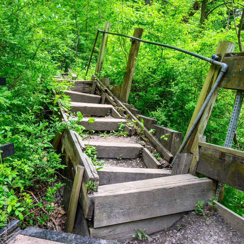 Old Stairway on a Trail in the Adirondacks Old Stairway on a Trail in the Adirondacks