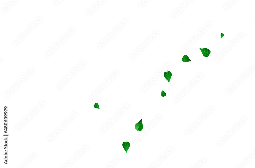 Olive Greens Motion Vector White Background Olive Greens Motion Vector White Background