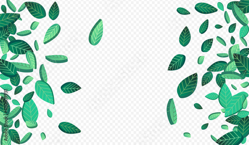 Mint Leaf Forest Vector Transparent Background