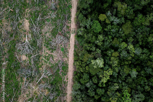 Amazon deforestation photo