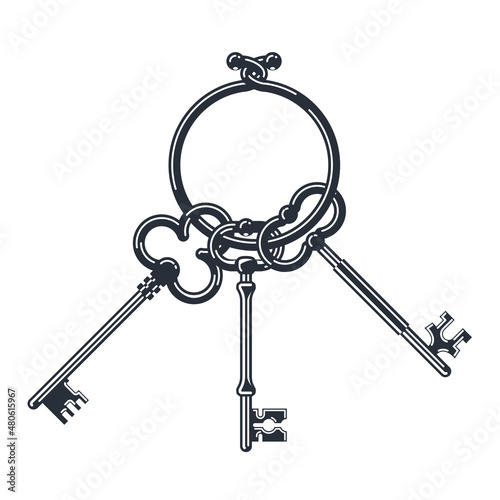 Bunch of old keys, antique key on ring for vintage locks, vector