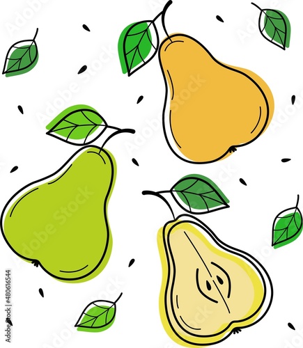 Vector illustration of pears on a white background