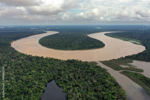 Bend in the Javari river in the Amazon rainforest