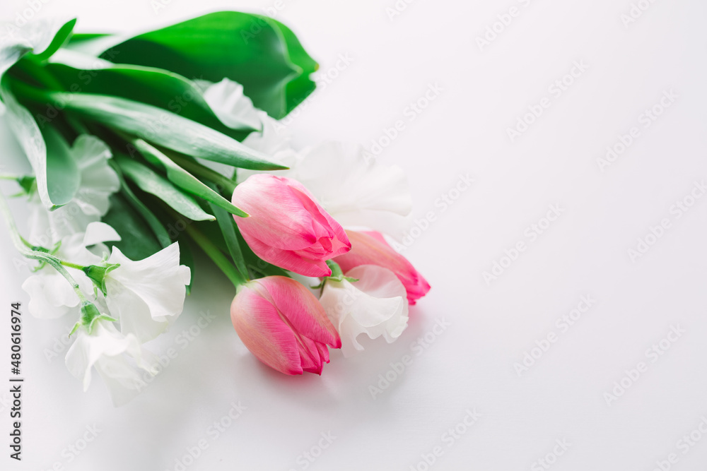 チューリップとスイートピーの春色背景素材05 Stock Photo Adobe Stock