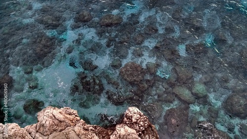 Foto coral reef in the ocean