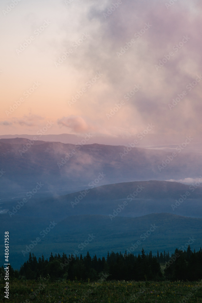 Fototapeta premium coniferous trees against the backdrop of foggy mountains