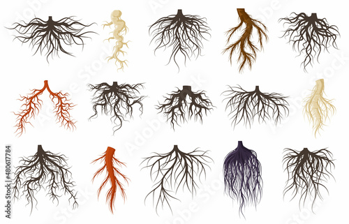 Plants roots systems, growing fibrous trees roots. Underground plants plants, trees branched root vector symbols set. Tree roots systems silhouettes