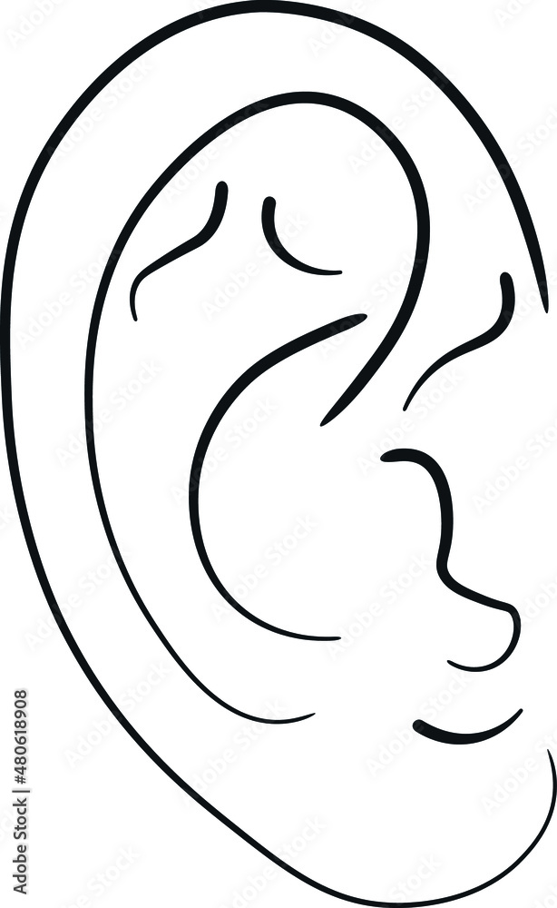 illustration of a human ear 