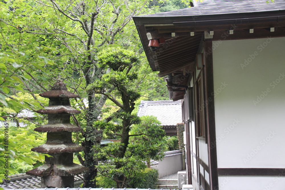 Kamakura, con sus preciosos templos. Japon. Kamakura, con sus preciosos templos. Japon.