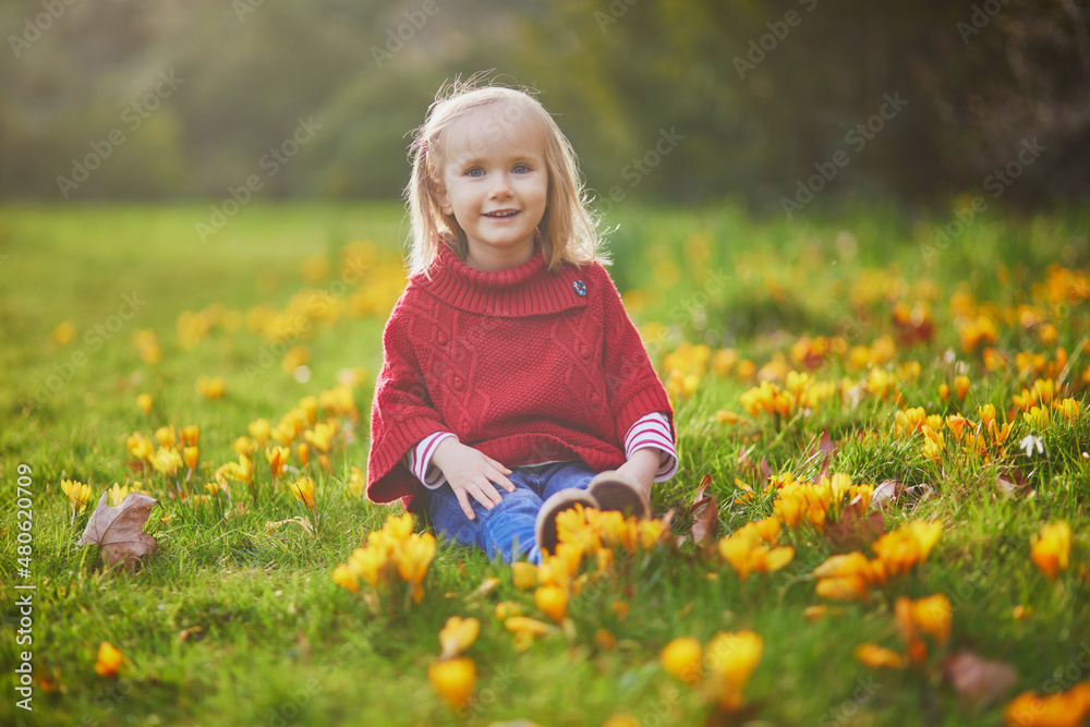 Adorable girl in red poncho sitting on the grass with yellow crocuses Adorable girl in red poncho sitting on the grass with yellow crocuses