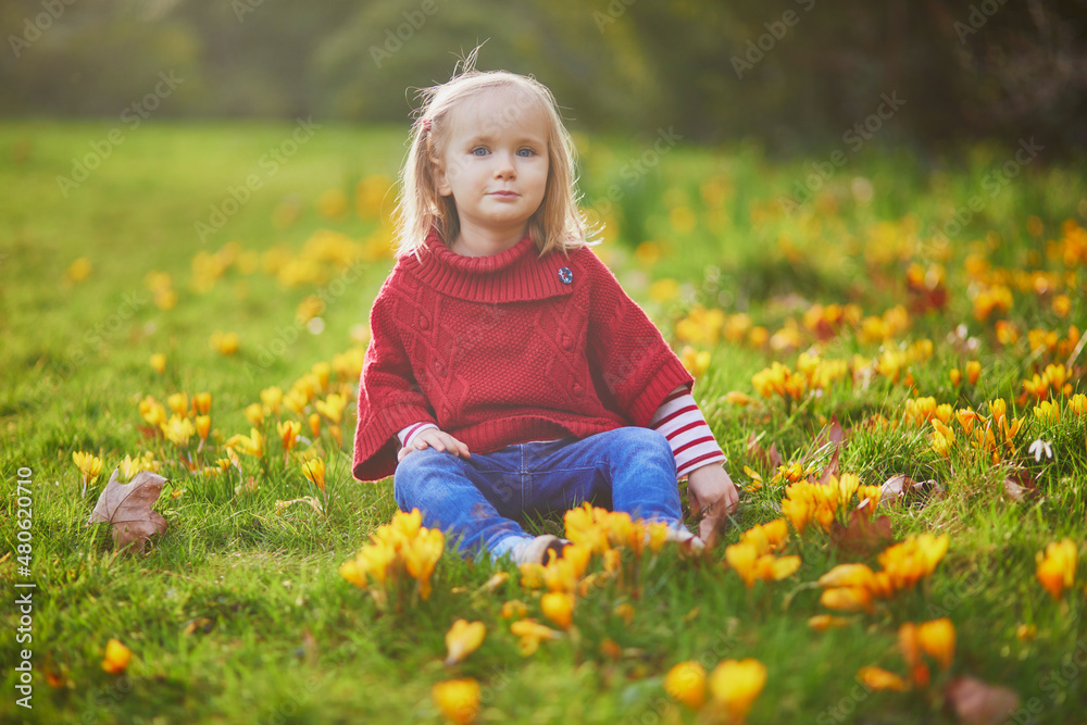 Adorable girl in red poncho sitting on the grass with yellow crocuses