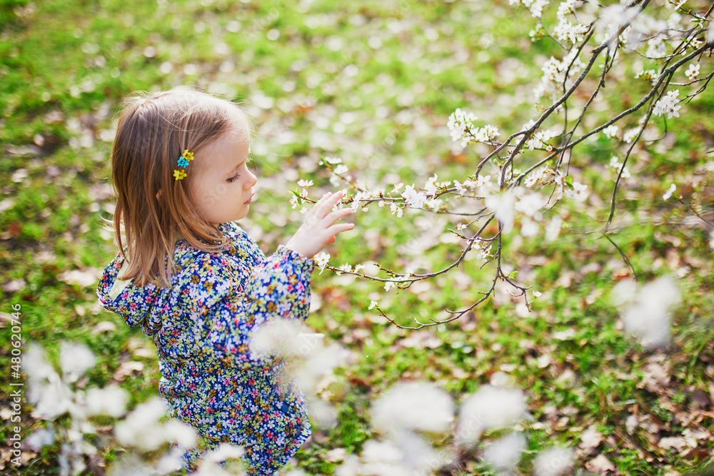 Adorable little girl enjoying nice and sunny spring day near apple tree in full bloom Adorable little girl enjoying nice and sunny spring day near apple tree in full bloom