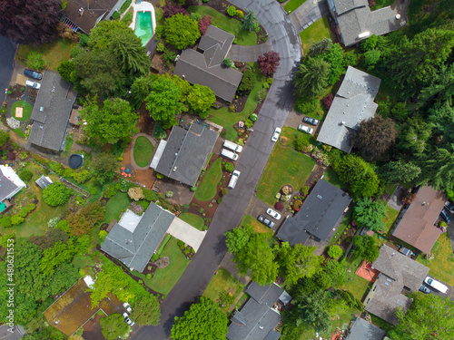 Aerial photo. Small provincial town. The roofs of small houses and a lot of greenery - trees, bushes, lawns. There are no people in the photo. Abstraction. Environmental and social issues.