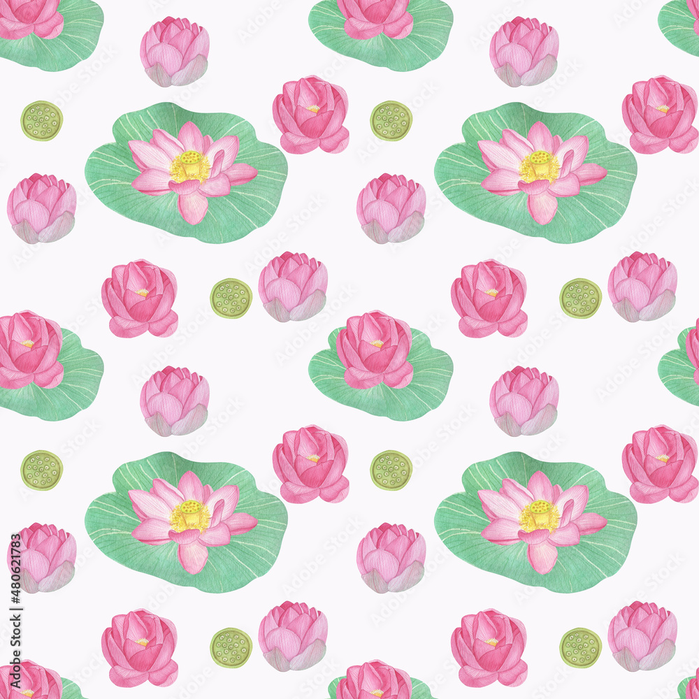 Watercolor pattern of blooming lotuses and green leaves on a white background
