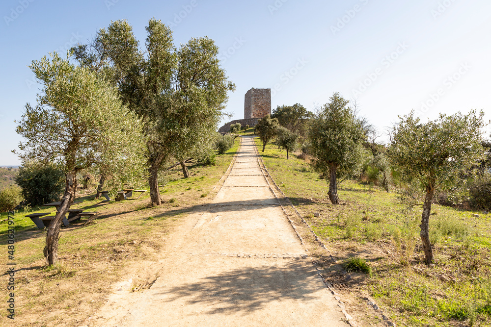 a dirt path through an olive grove to the castle of King Vamba (castle of Rodão), Vila Velha de Rodao, Castelo Branco district, Beira Baixa, Portugal