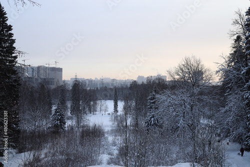 View of the winter forest and the buildings of the city in the distance from the hill