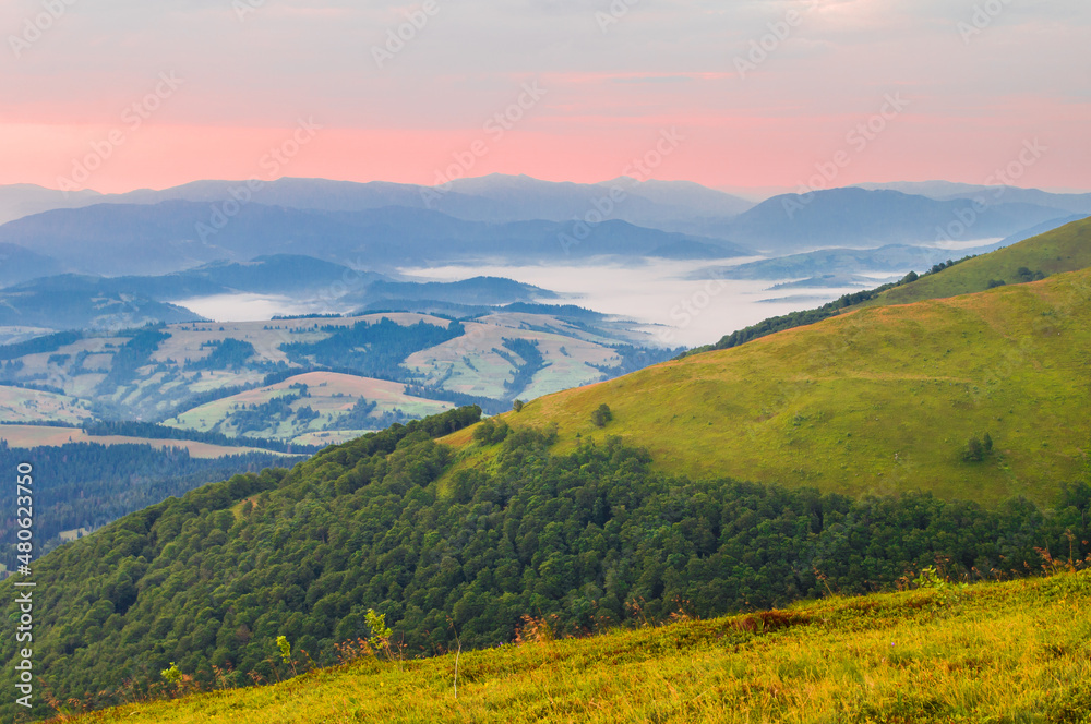 Morning on the slopes of the mountains. Beautiful summer landscape on remote mountains with sea of fog and sky in sunrise colors.  Ukraine, Carpathians, Borzhava mountain range