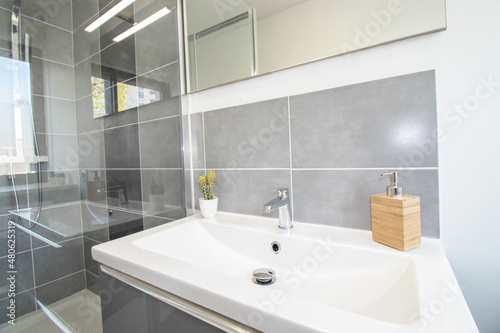 Washbasin cabinet in a bathroom. A mirror with a plant and soap dispenser. Renovation company.   France - 07.04.2019 