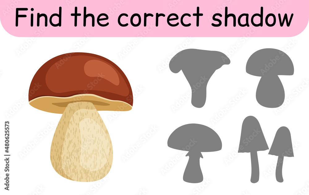 Find the correct shadow. Kids game. Educational matching game for children. Mushroom theme