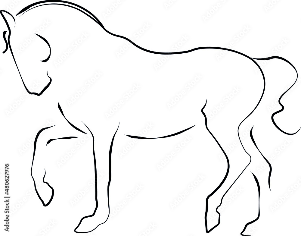 illustration of an dressage horse illustration of an dressage horse