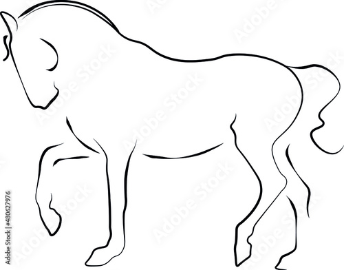 illustration of an dressage horse