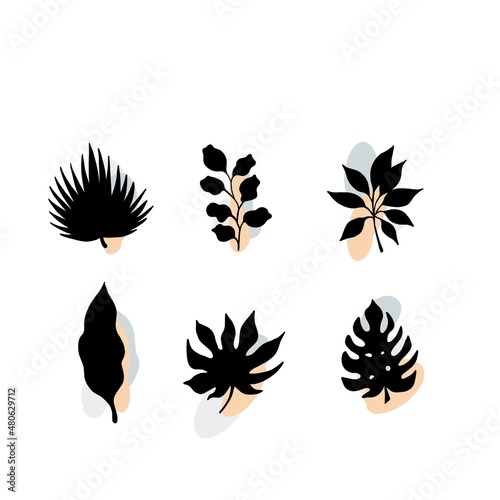 Set Line Art plant silhouette with Geometry Colored Shapes. Modern trendy background design for print, poster,, wallpaper. Contour drawing. Minimalism art. Modern decor. Wall art.