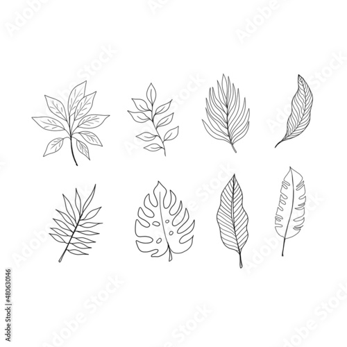 doodle set of floral elements. Black and white drawing. Tropical summer twigs and leaves, exotic plants for greeting cards, wedding invitations, coloring pages, blogs and social media designs