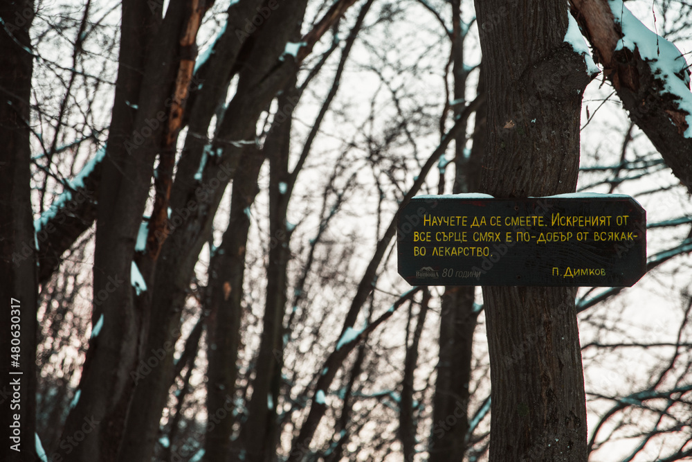 Wooden sign in the forest. Translation: Learn to laugh. Laughing from your heart is better than any medicine.