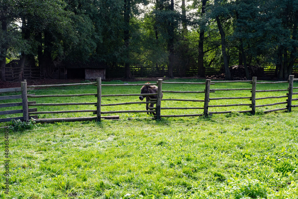 skansen