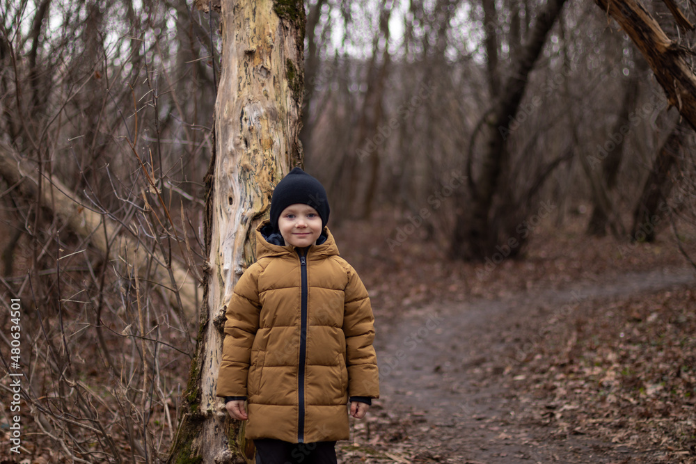 cute boy stands by the tree in the winter park.  He looks into the camera and smiles.winter without snow concept