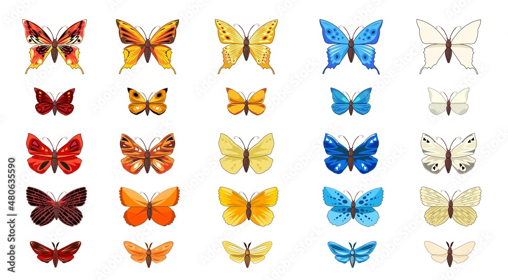 Set of beautiful butterflies in fun cartoon style. Summer pretty insects. Object isolated on white background. Vector Set of beautiful butterflies in fun cartoon style. Summer pretty insects. Object isolated on white background. Vector