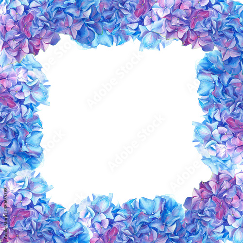 Floral frame hydrangea flower. Watercolor illustration of a blue hydrangea blossom hand painted. Botanical illustration. Illustration for greeting cards, invitations, and other printing projects