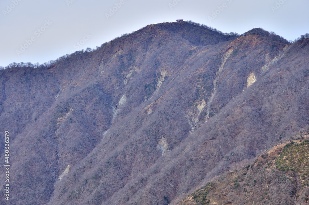 Fototapeta premium 丹沢山地の表尾根 三ノ塔より眺める塔ノ岳