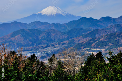 神奈川県秦野市 菜の花台より望む富士山 