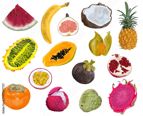 Fototapeta Naklejka Na Ścianę i Meble -  Realistic tropical and exotic  fruits Procreate illustration isolated on white background. Food, recipe and cook book clipart. Menu, cafe and  restaurant graphic. Coconut, pineapple, melon, litchi