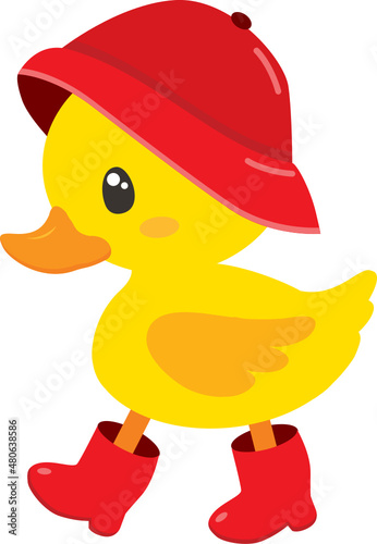 Duck with Red Raincoat