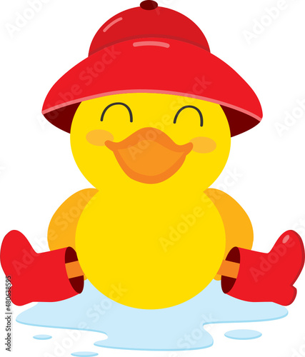 Duck with Red Raincoat