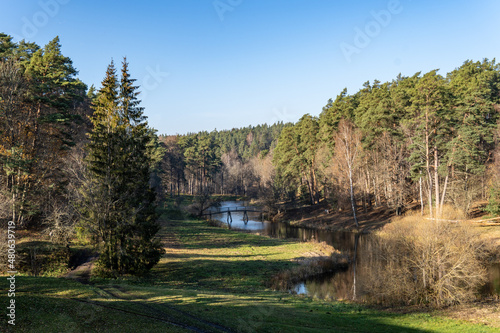 Bridge over the river in the woods