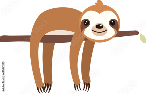 Cute Sloth