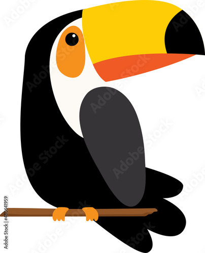 Tropical bird Toucan