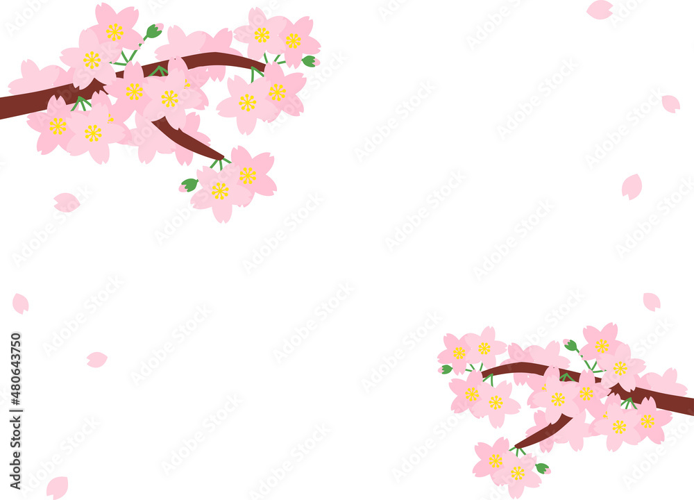 左上と右下に桜がある背景_白バック