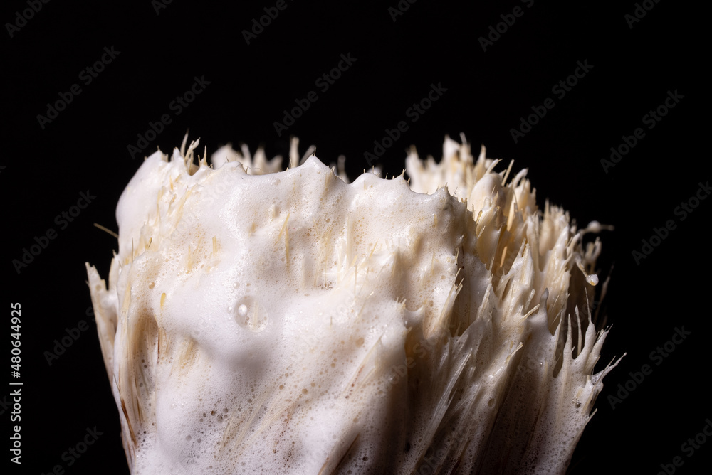 Close up of wet shaving brush with soap Close up of wet shaving brush with soap
