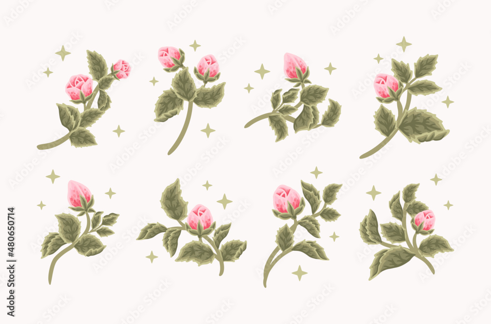 Collection of vintage romantic pink rose flower bud and green leaf branch for greeting cards, wedding invitation, decoration, craft, journal, feminine logo, beauty label, branding elements
