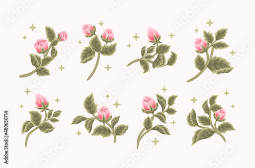 Collection of vintage romantic pink rose flower bud and green leaf branch for greeting cards, wedding invitation, decoration, craft, journal, feminine logo, beauty label, branding elements