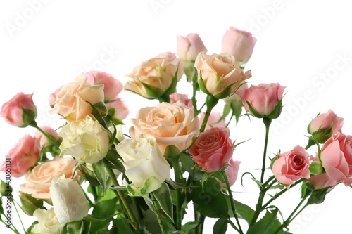 Bouquet of beautiful fresh roses on white background