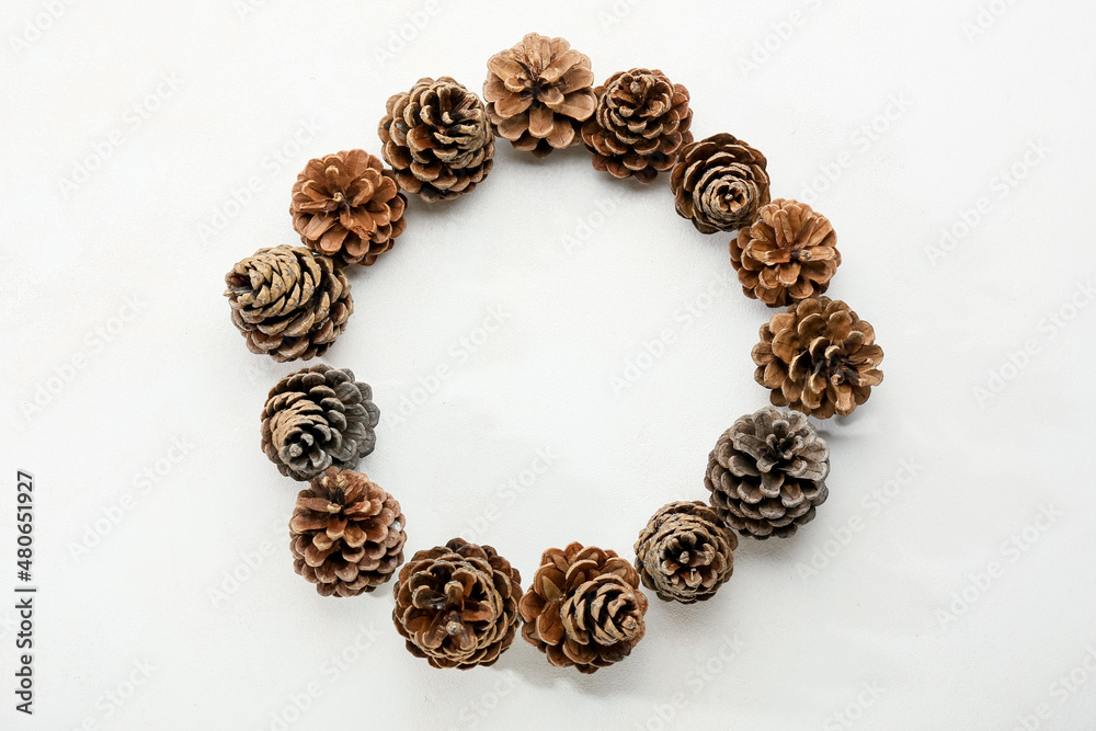 Frame made of pine cones on white background