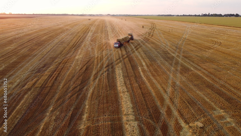 Obraz premium Tractor loader loads a haystack into a truck loaded with haystacks