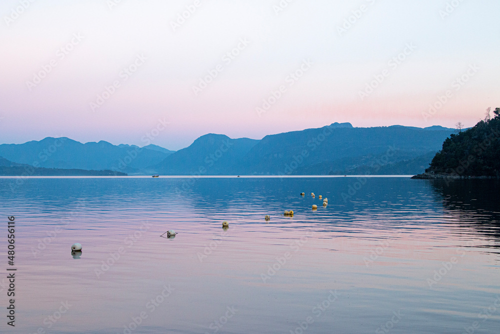 Fototapeta premium lake bled country